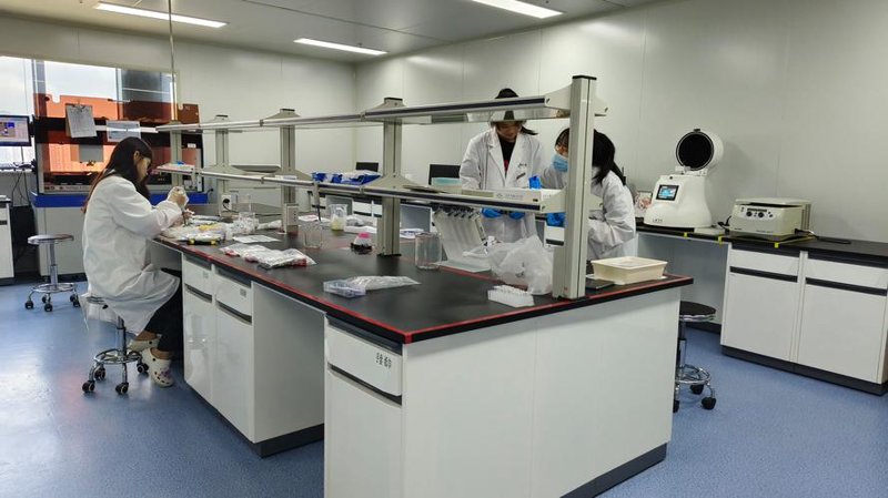 生物技术研发：开启未来之门